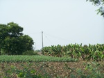 17342100_2028.JPG