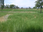 33560RIMG0225.JPG