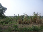 4045RIMG0349.JPG