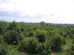 1050747-panaromic-view-top-gt47-b.gif