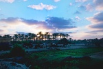 34689Egypt 007.jpg