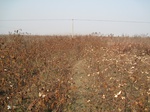 8559IMG_0383.JPG