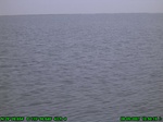 1574R0015236_tag.jpg