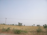 9080RIMG0160.JPG