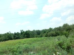 55320CIMG1373.JPG