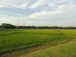 26110DSC01138.JPG