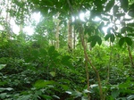 20024P1010874.JPG