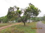 31911IMG_5332.JPG