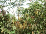 48031CIMG4368.JPG