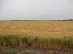 29596CIMG0863.JPG