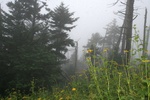 57871IMG_9555.JPG