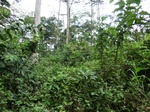 46170CIMG0459.JPG