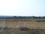 1795427042008(85).JPG