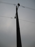 8492IMG_0317.JPG