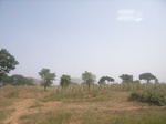 9066RIMG0146.JPG