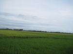 15568IMG_4638.JPG