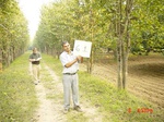 6564gt061-orchard-1.jpg