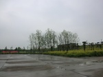 51785CIMG0016.JPG