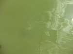 58229CIMG2676.JPG