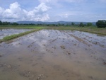 33610RIMG0275.JPG