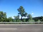 56734CIMG1740.JPG