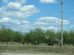 30010CIMG0743.JPG