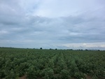 55931CIMG6655.JPG