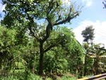 31164CIMG1026.JPG
