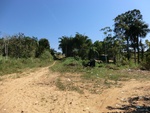 2012-08-31_10-24-27_CIMG0098.JPG