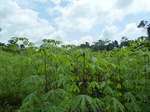 25310P1020154.JPG