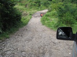15178IMG_3998.JPG