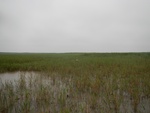 54495DSCN1776.JPG