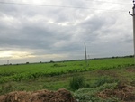 56029CIMG6718.JPG