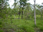 43683pic4.jpg