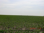29716CIMG1030.JPG