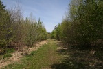 288IMG_4184.JPG