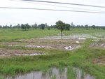 33429RIMG0169.JPG