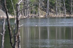 381IMG_3490.JPG