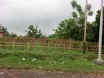 30960CIMG0821.JPG