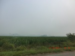 32949CIMG2095.JPG