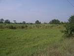 28255RIMG0255.JPG