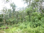 20017P1010867.JPG