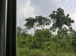 49822CIMG6159.JPG