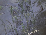 720R0015228.jpg