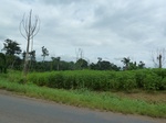 25279P1020122.JPG