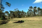 28477P1010488-1.JPG