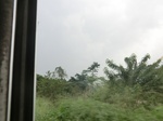 49888CIMG6225.JPG