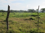 31948IMG_5655.JPG