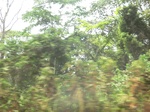 49193CIMG5530.JPG