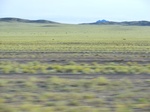 37873CIMG1680.JPG